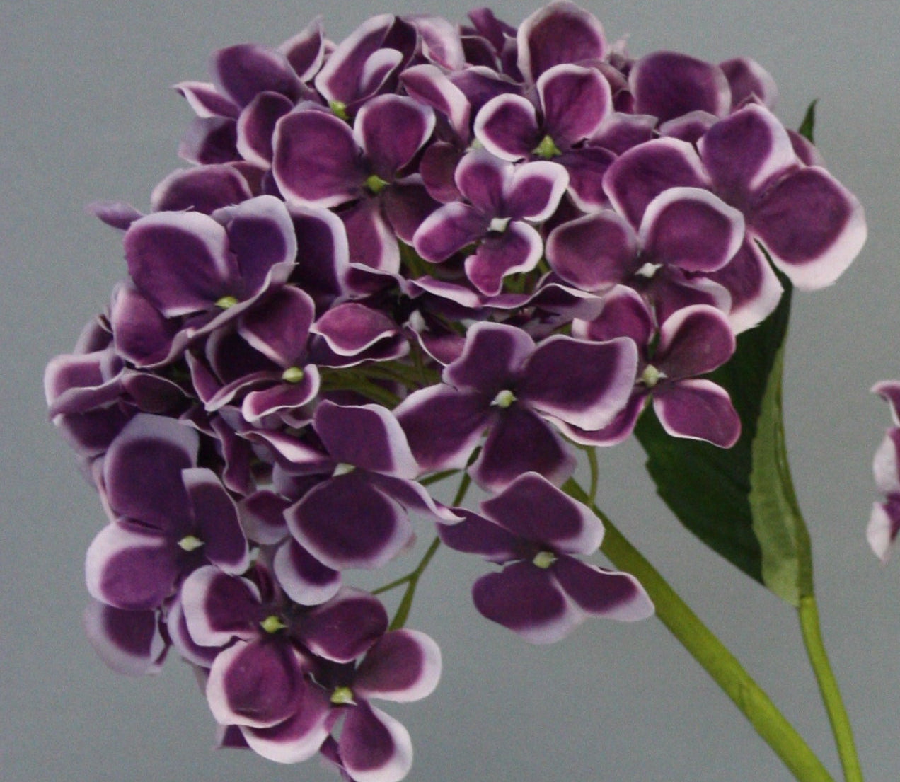 Zijden bloem Hortensia paars 82cm