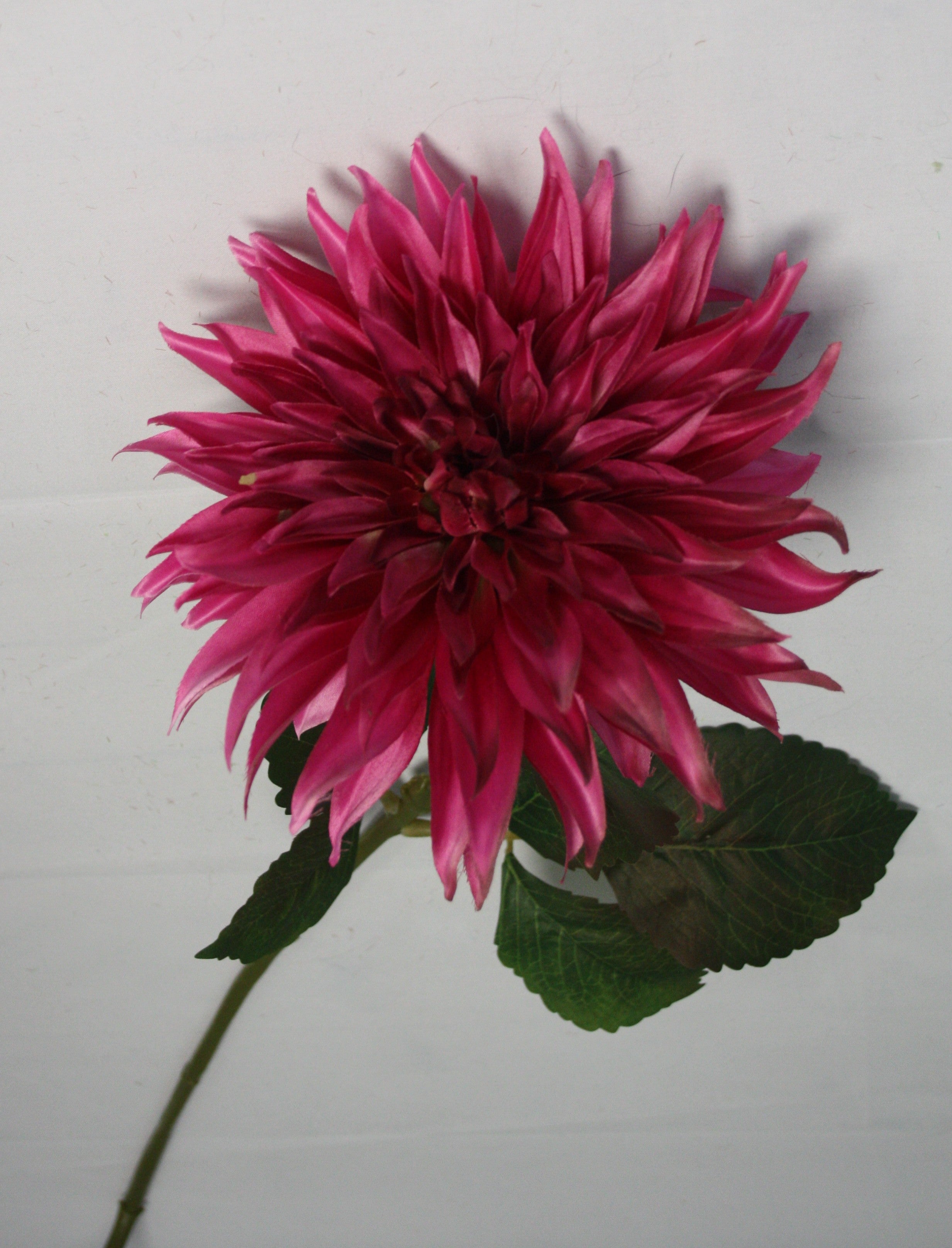 Dahlia spray beauty 70 cm Rose