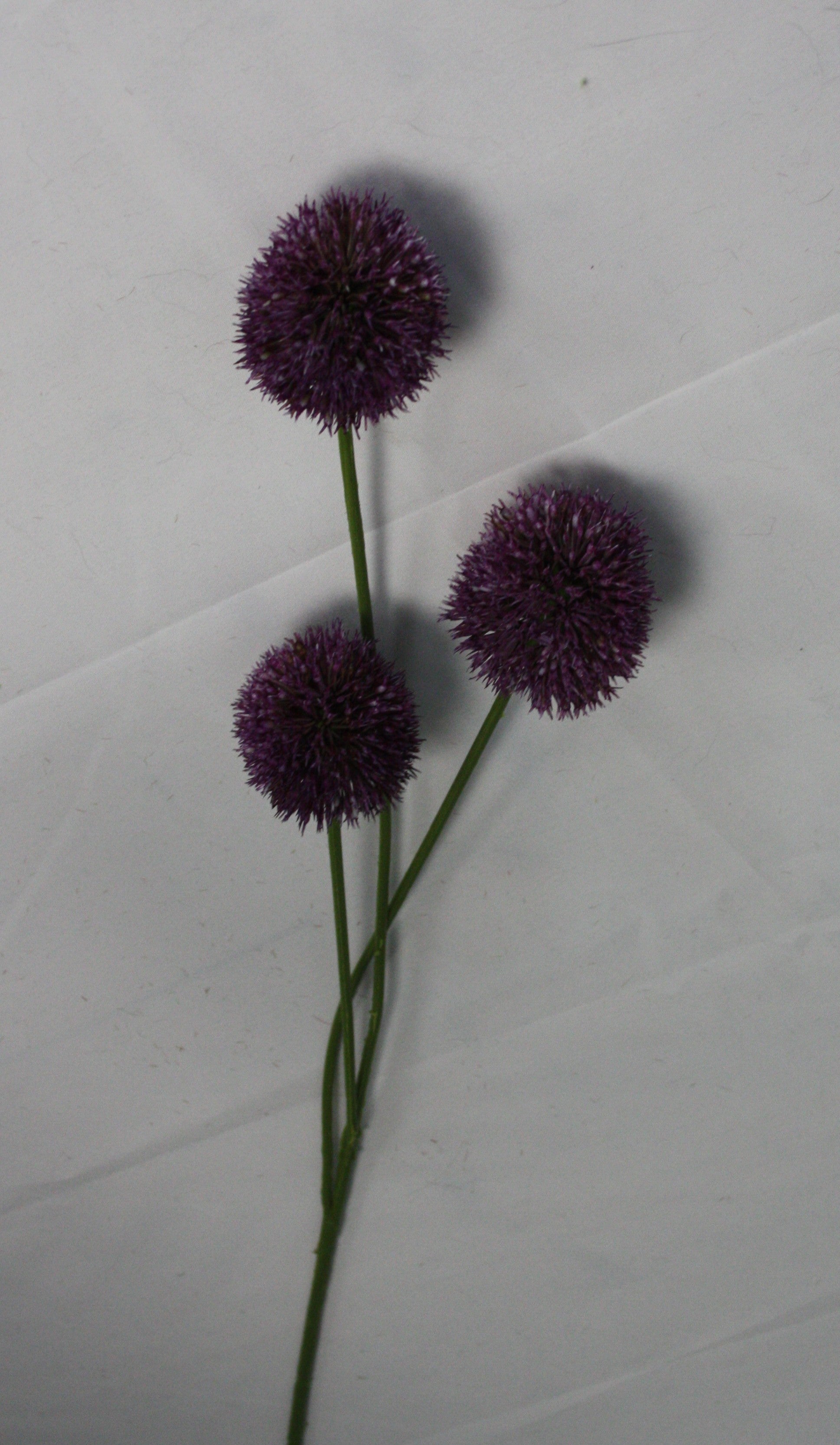 Zijden bloem Allium paars 81 cm