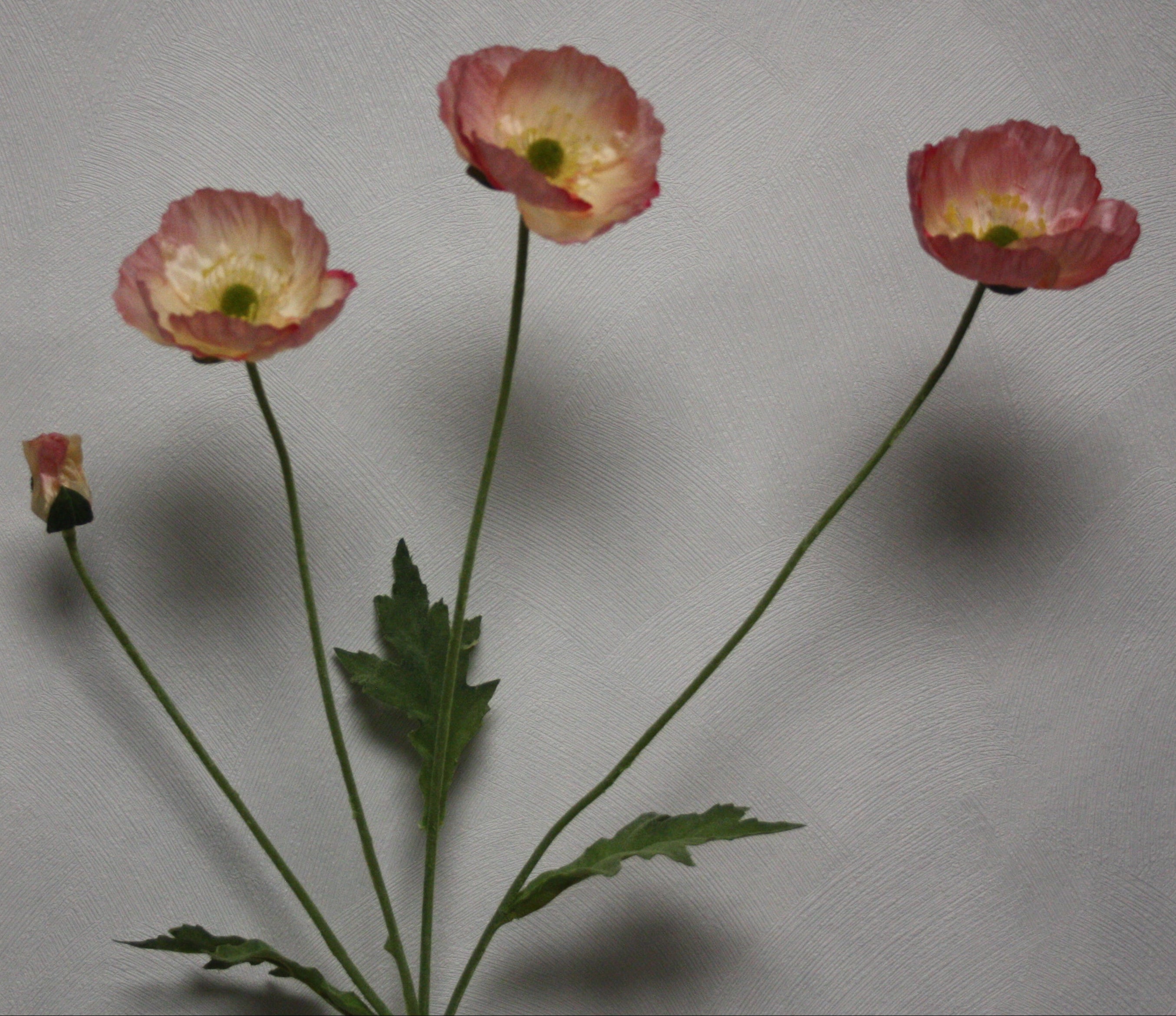 Zijdenbloem Papaver 60 cm licht rose