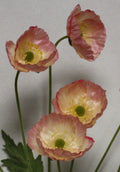 Zijdenbloem Papaver 60 cm licht rose