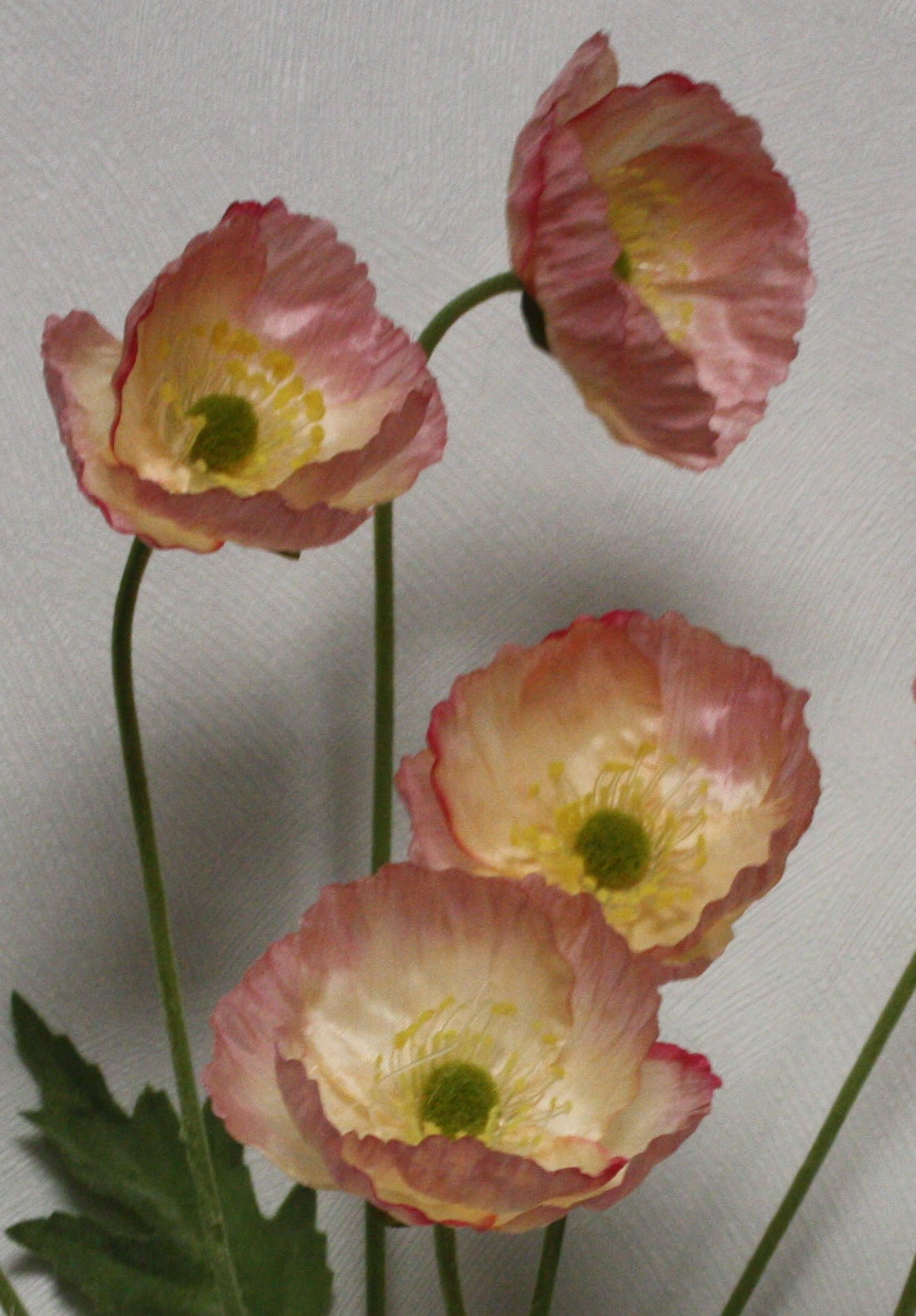 Zijdenbloem Papaver 60 cm licht rose