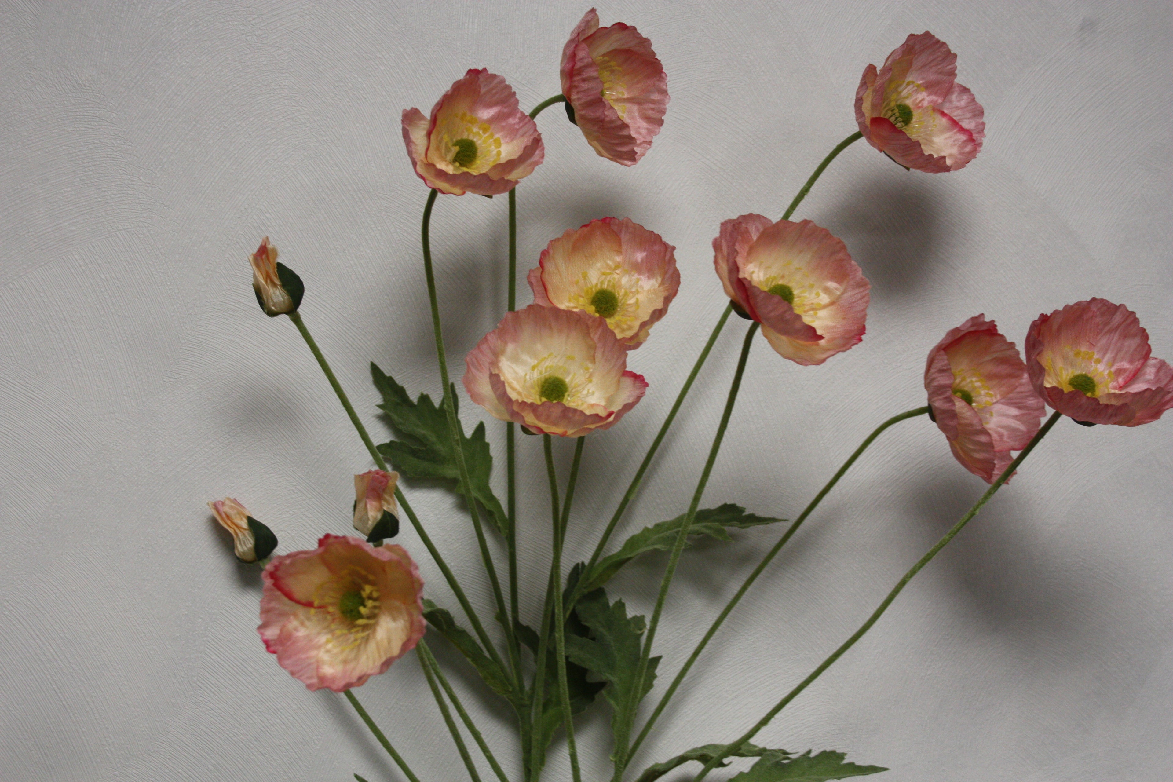 Zijdenbloem Papaver 60 cm licht rose