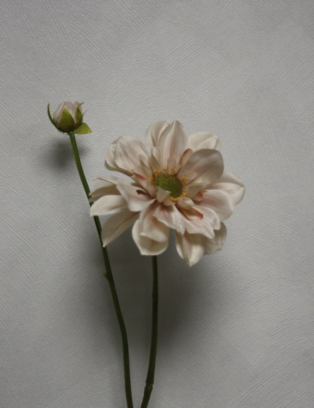 Zijden bloem Dalhia rose/beige 48 cm