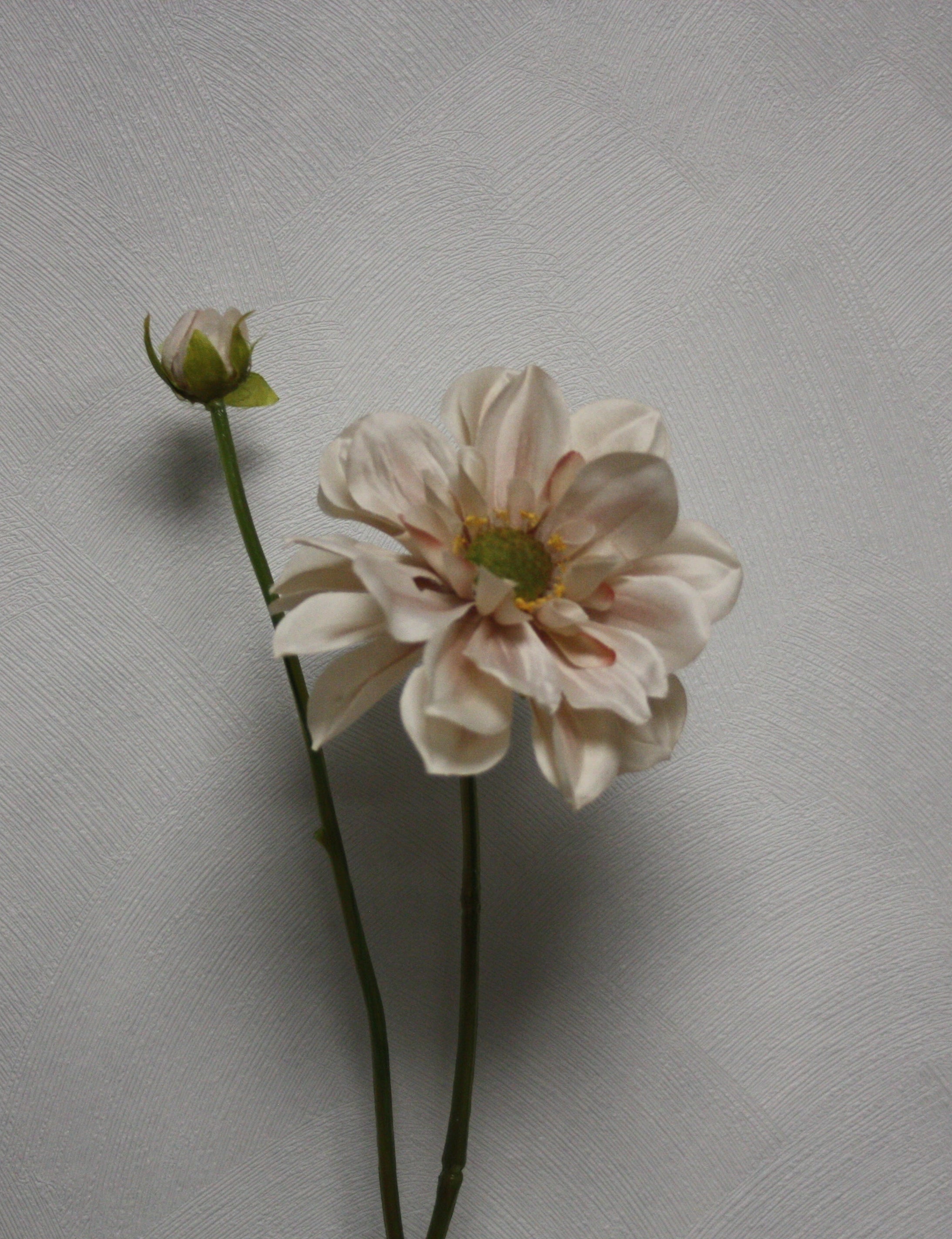 Zijden bloem Dalhia rose/beige 48 cm