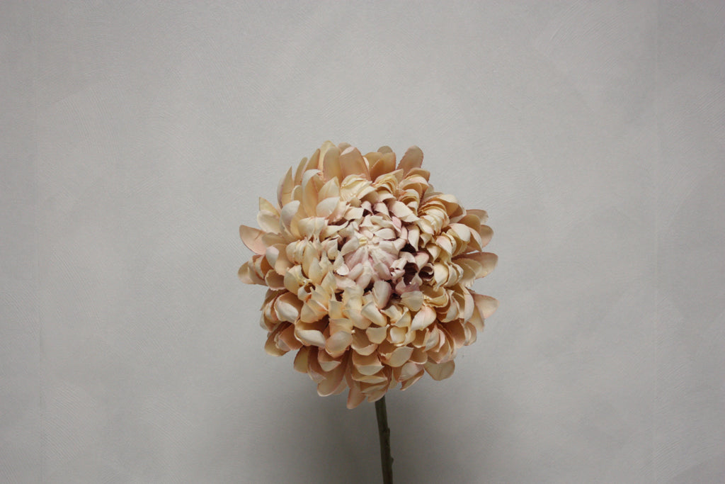 Zijden bloem Dahlia beige 70 cm