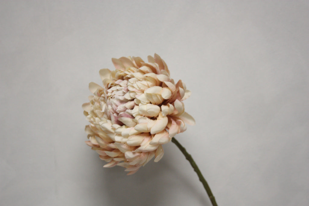 Zijden bloem Dahlia beige 70 cm