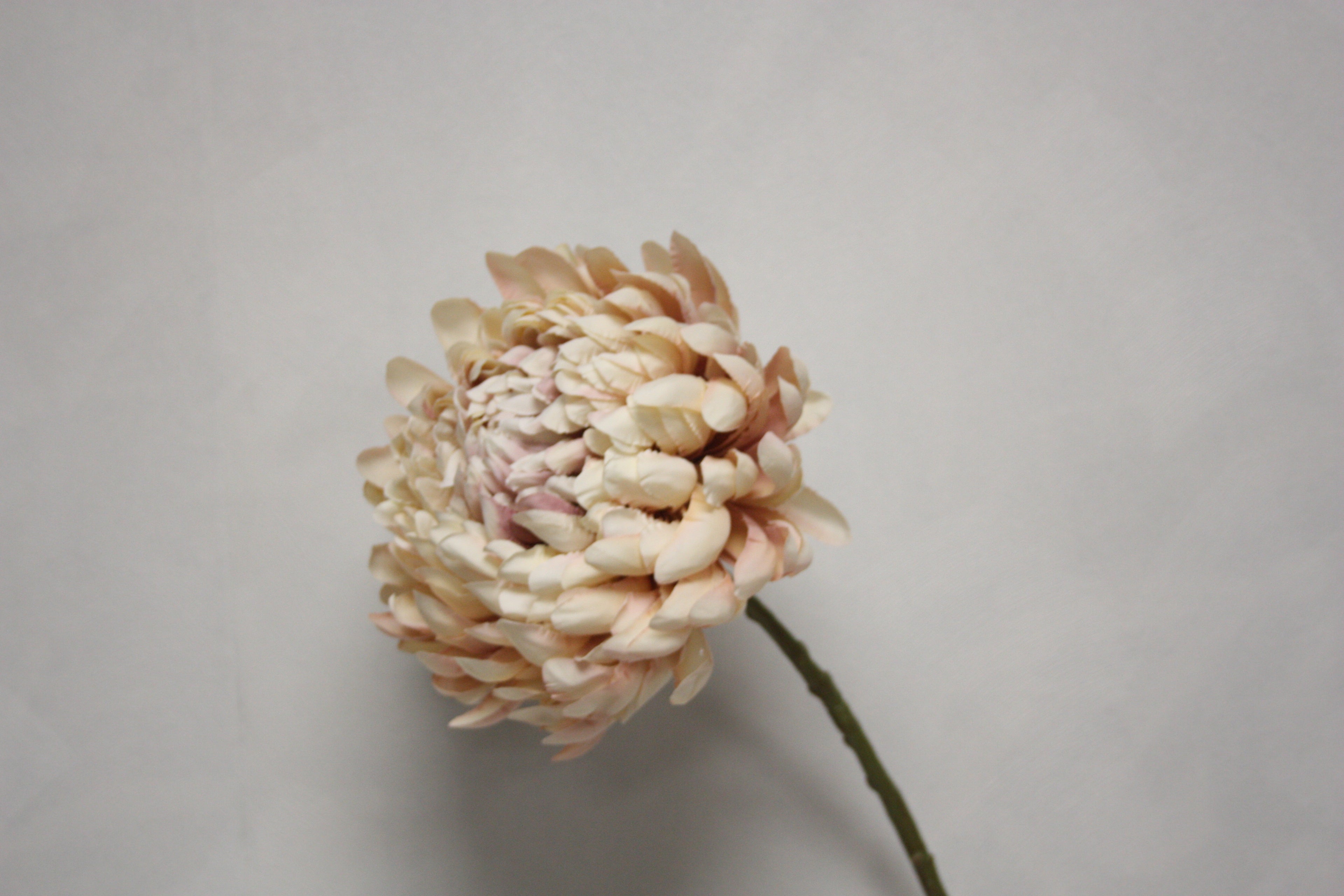 Zijden bloem Dahlia beige 70 cm