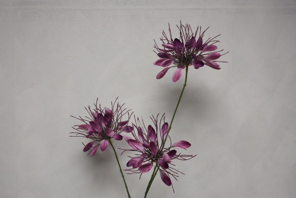Zijden bloem Spider paars 94 cm