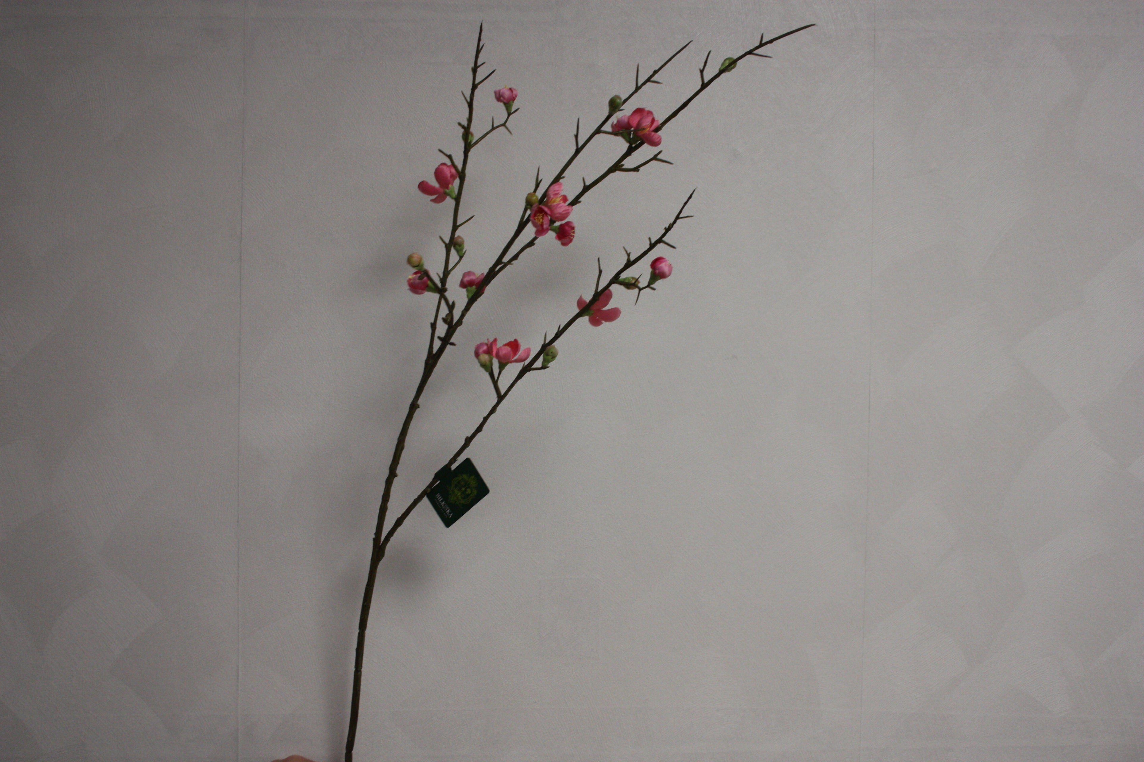 Bloesem Tak Roze
