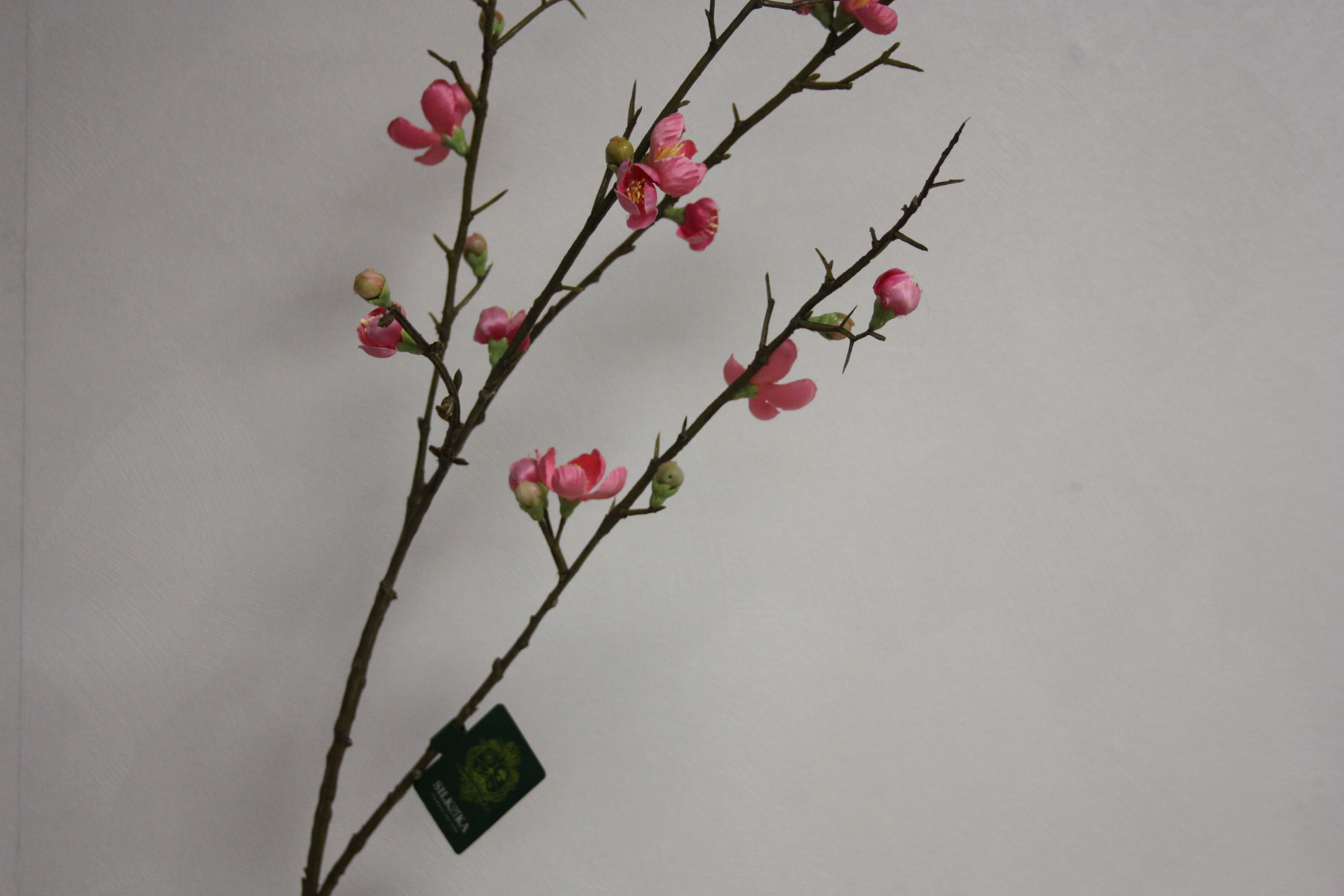 Bloesem Tak Roze