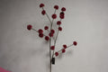 Pompom Burgundy 100cm