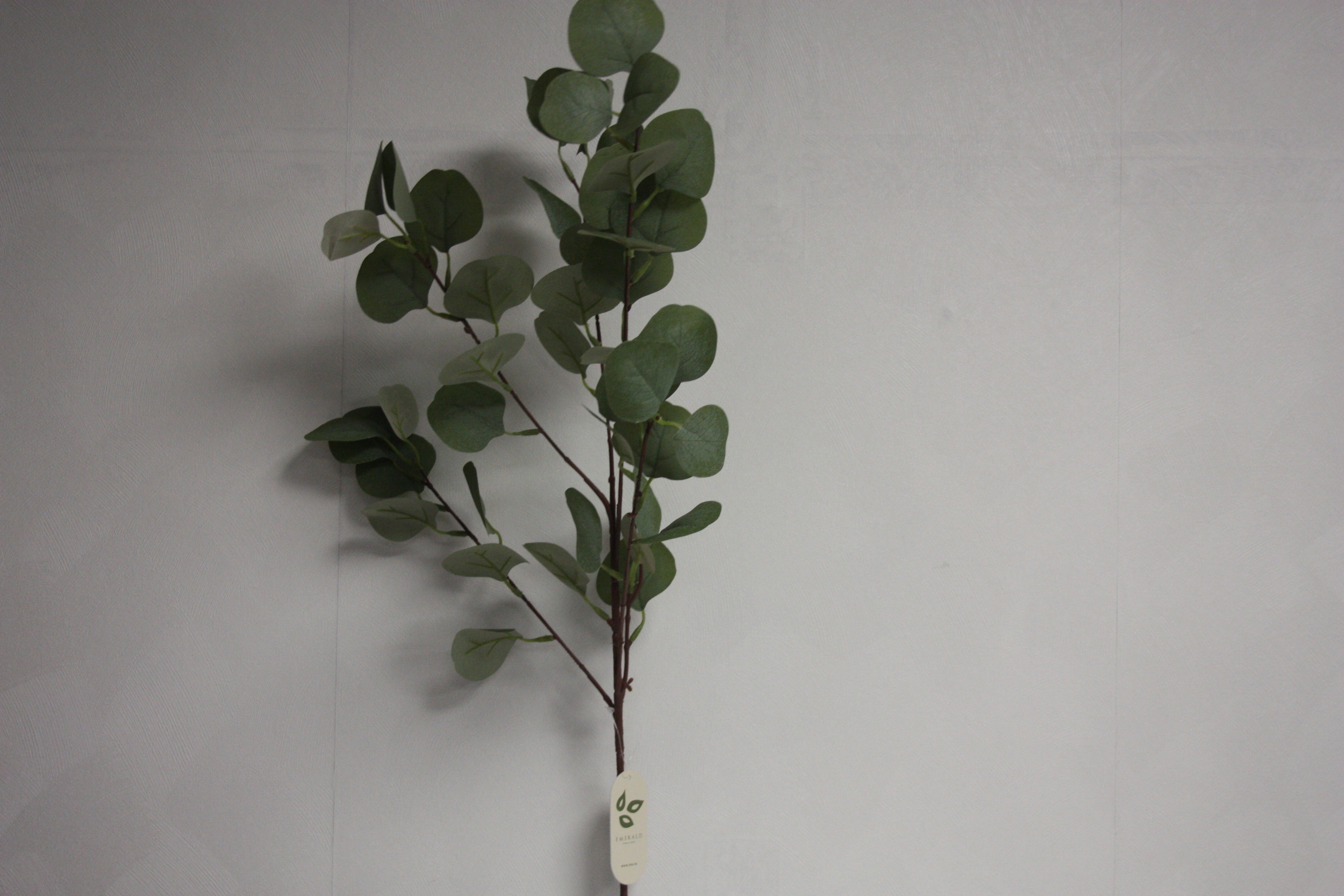 Eucalyptus Tak  87 cm