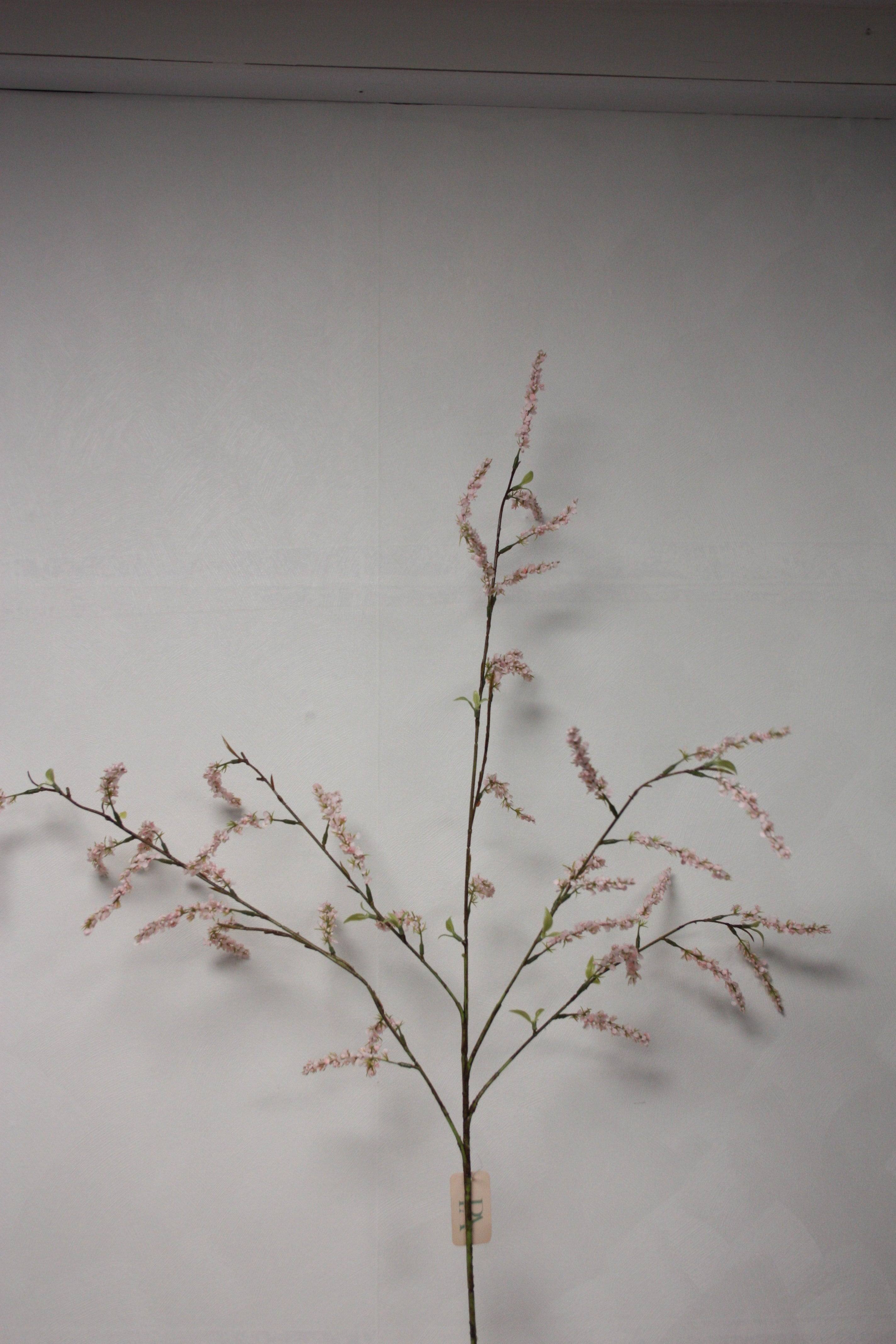 Deutzia roze