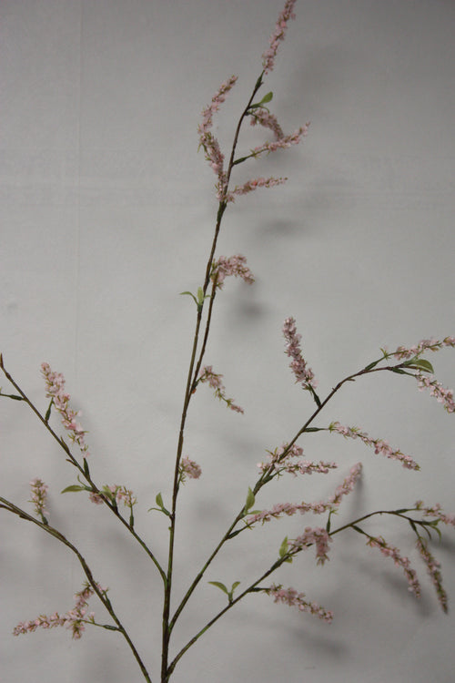 Deutzia roze