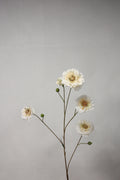 Ranonkel tak creme 93cm