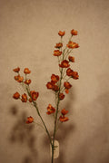 Buttercup Orange 85cm