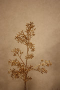 Eucalyptus fruit gold 75cm