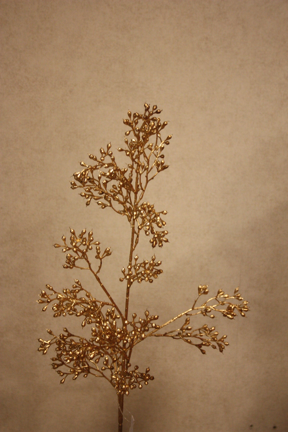 Eucalyptus fruit gold 75cm