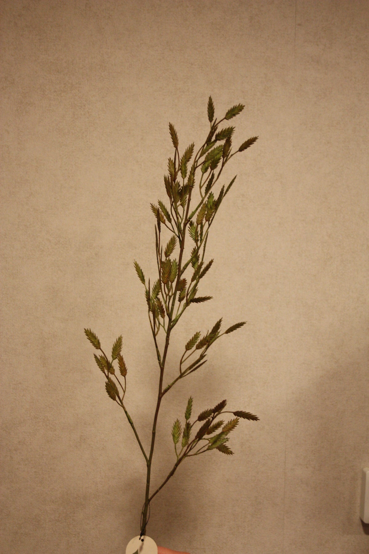 Briza green 100 cm