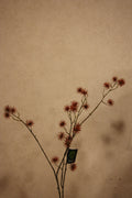 Distel tak bruin 101 cm