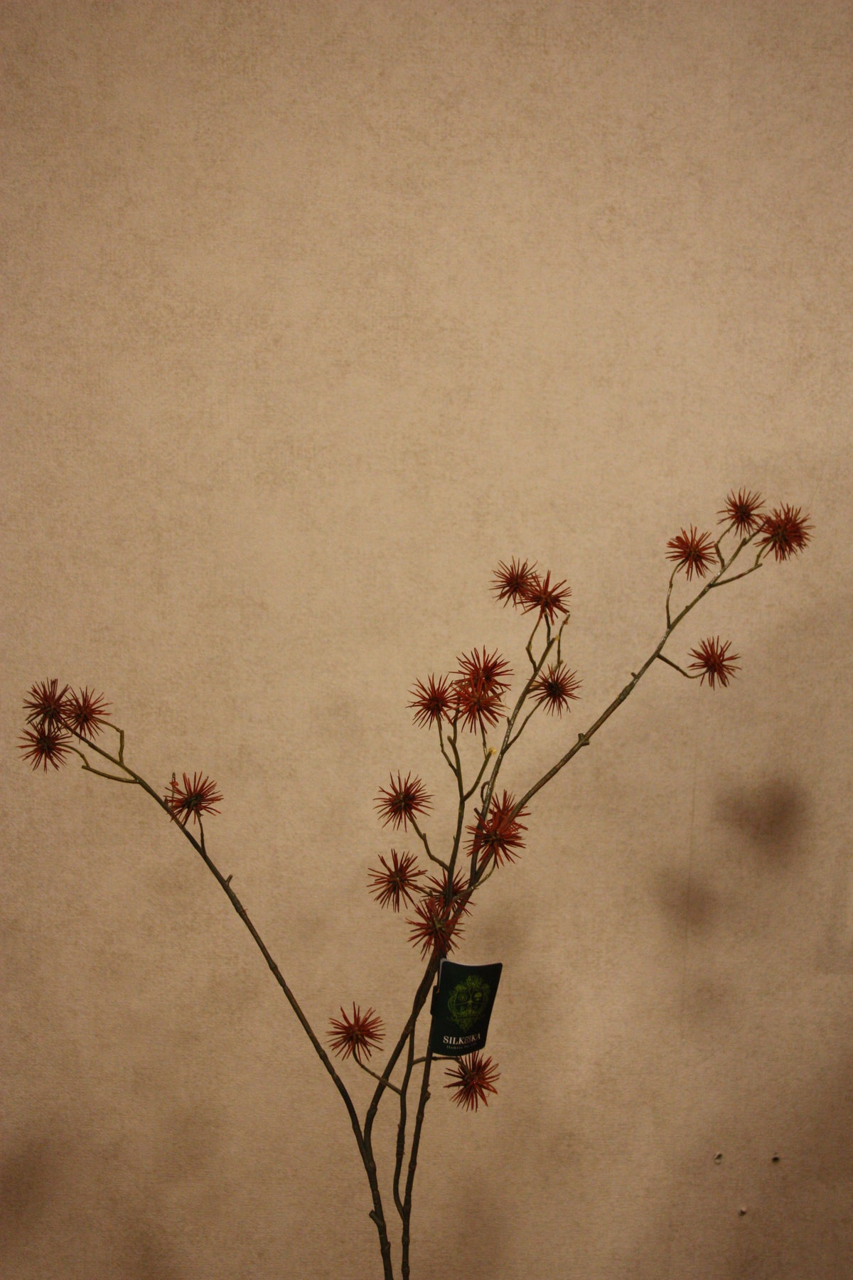 Distel tak bruin 101 cm