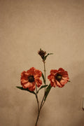 Aster Mauve 76cm