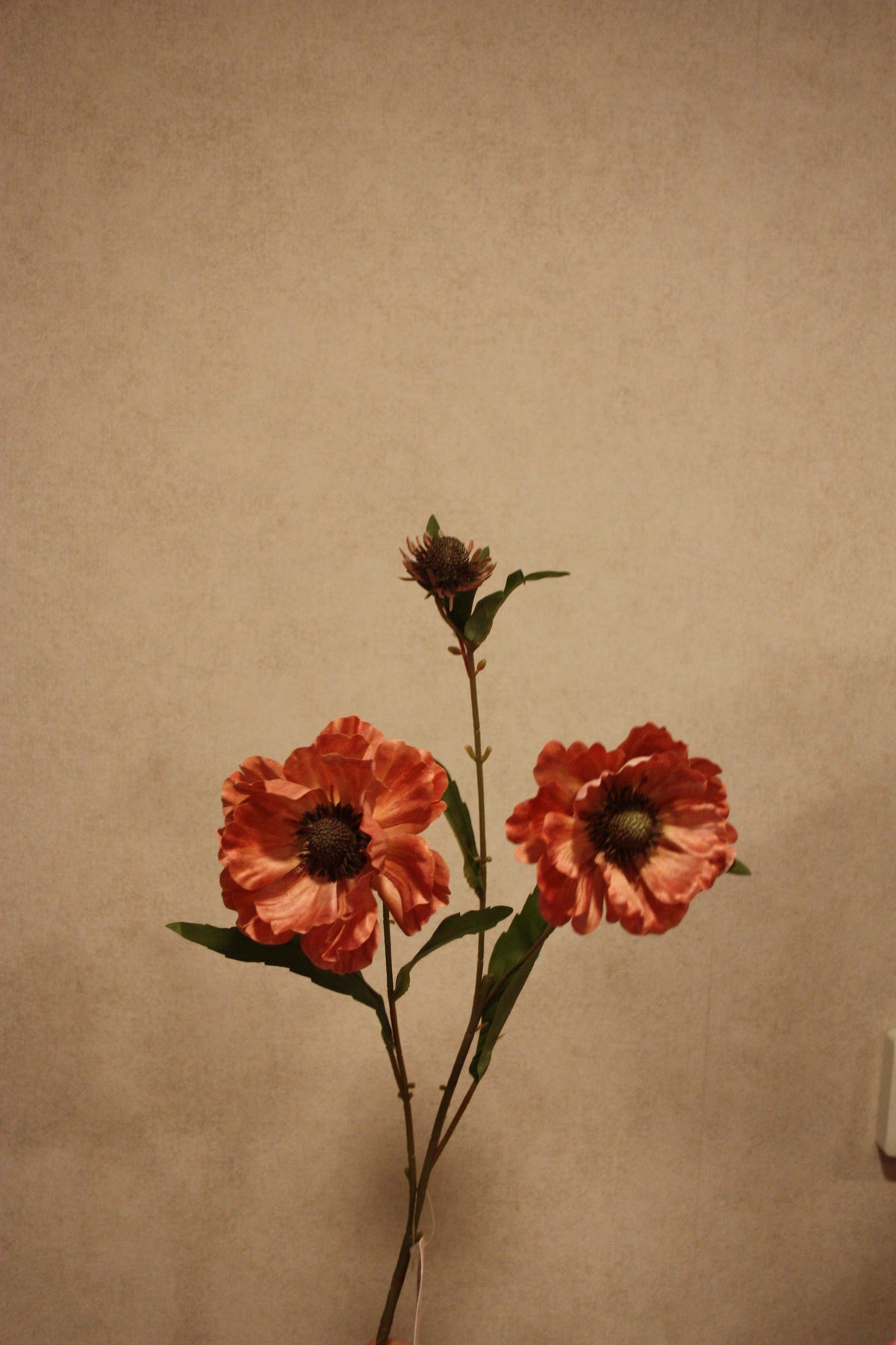 Aster Mauve 76cm