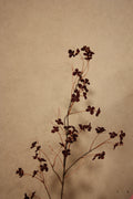 Hydrangea blossom 110 cm