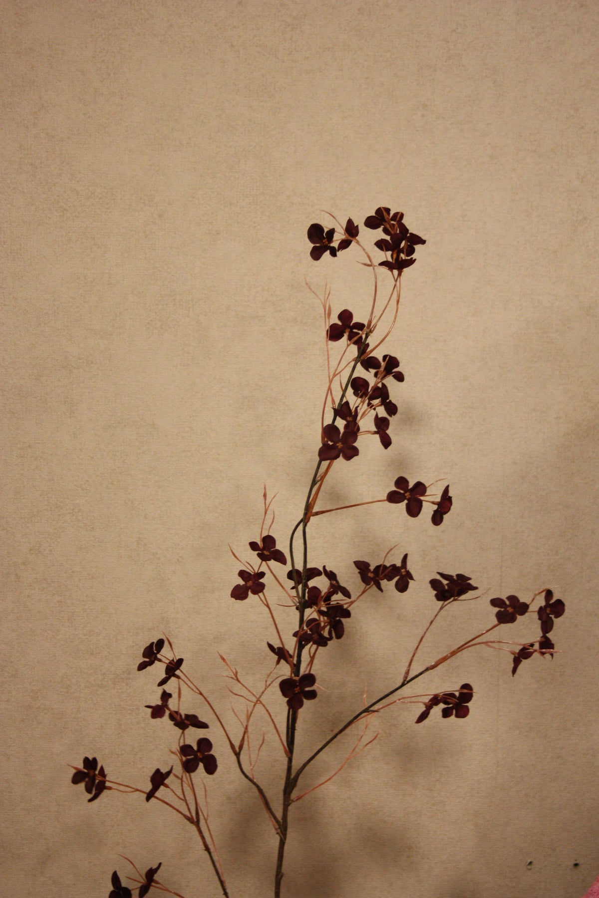 Hydrangea blossom 110 cm
