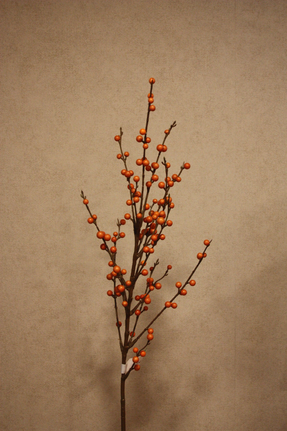 Ilex berry orange 90cm