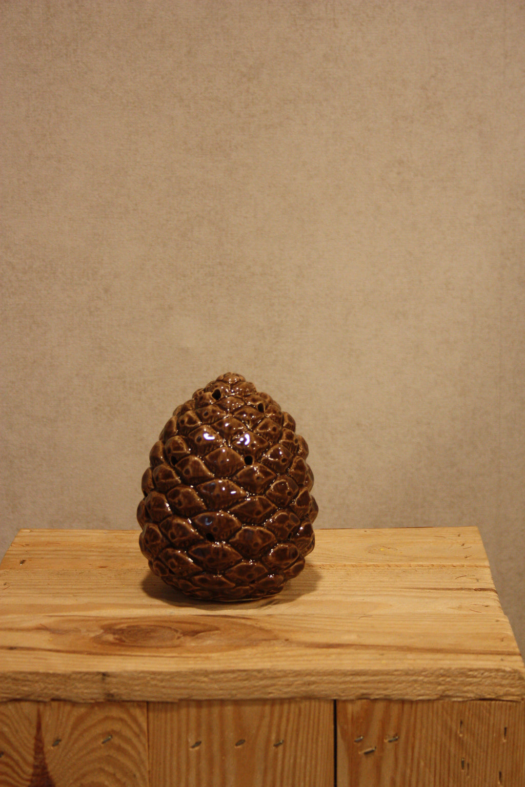 Dennenappel met led licht.
