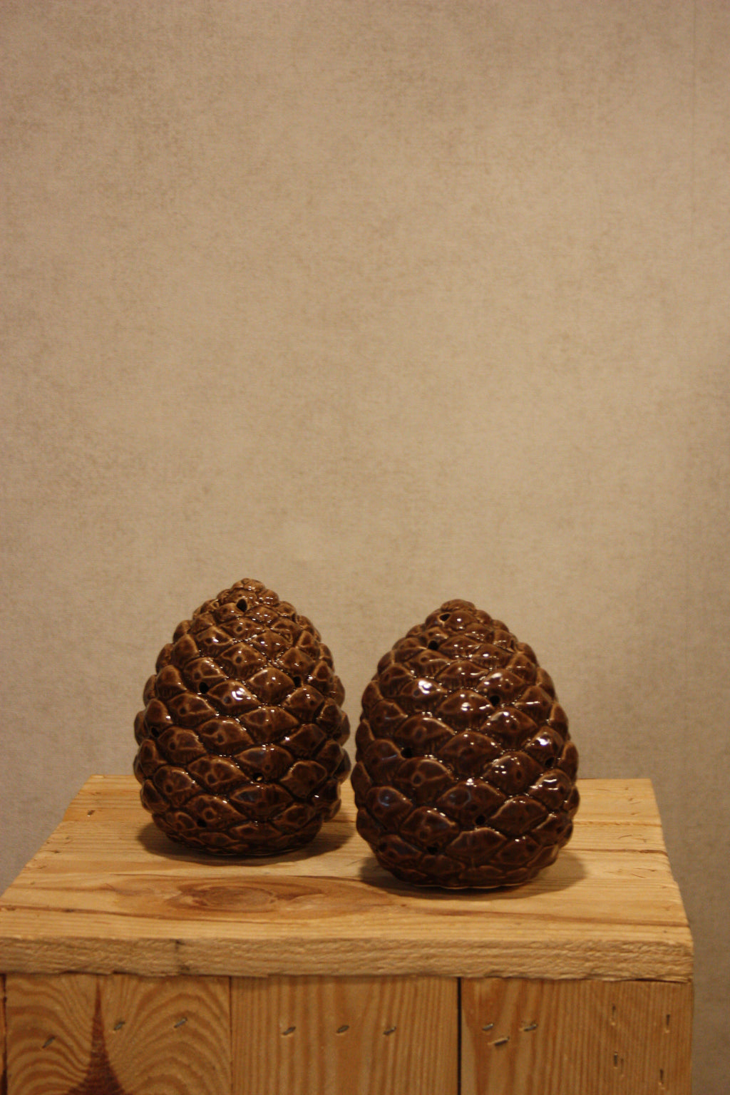 Dennenappel met led licht.