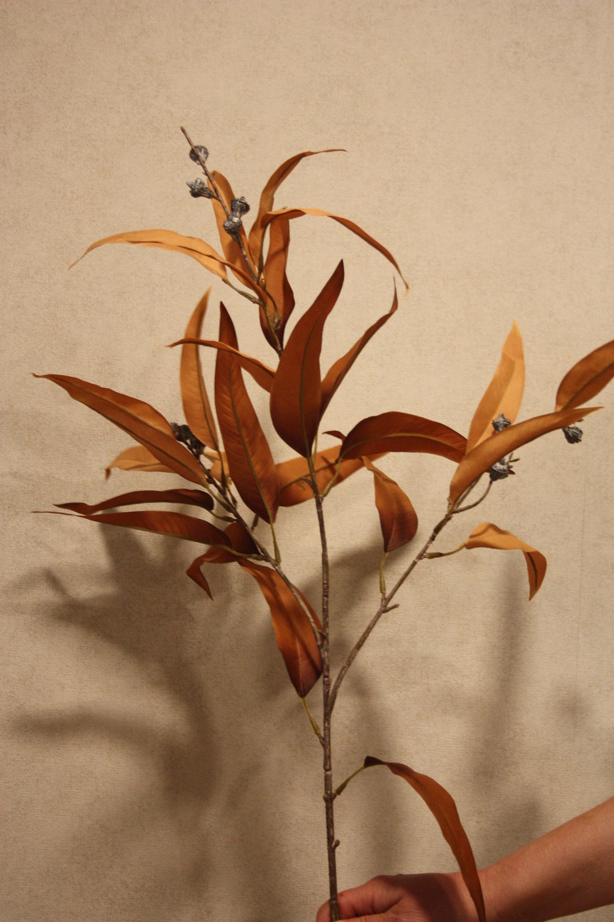 Eucalyptus oranje 103 cm