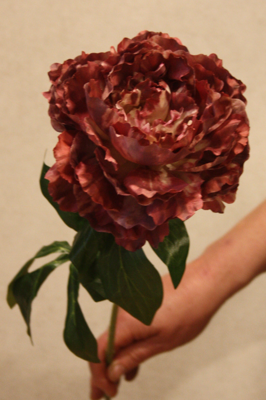 Pioen Mauve 68 cm