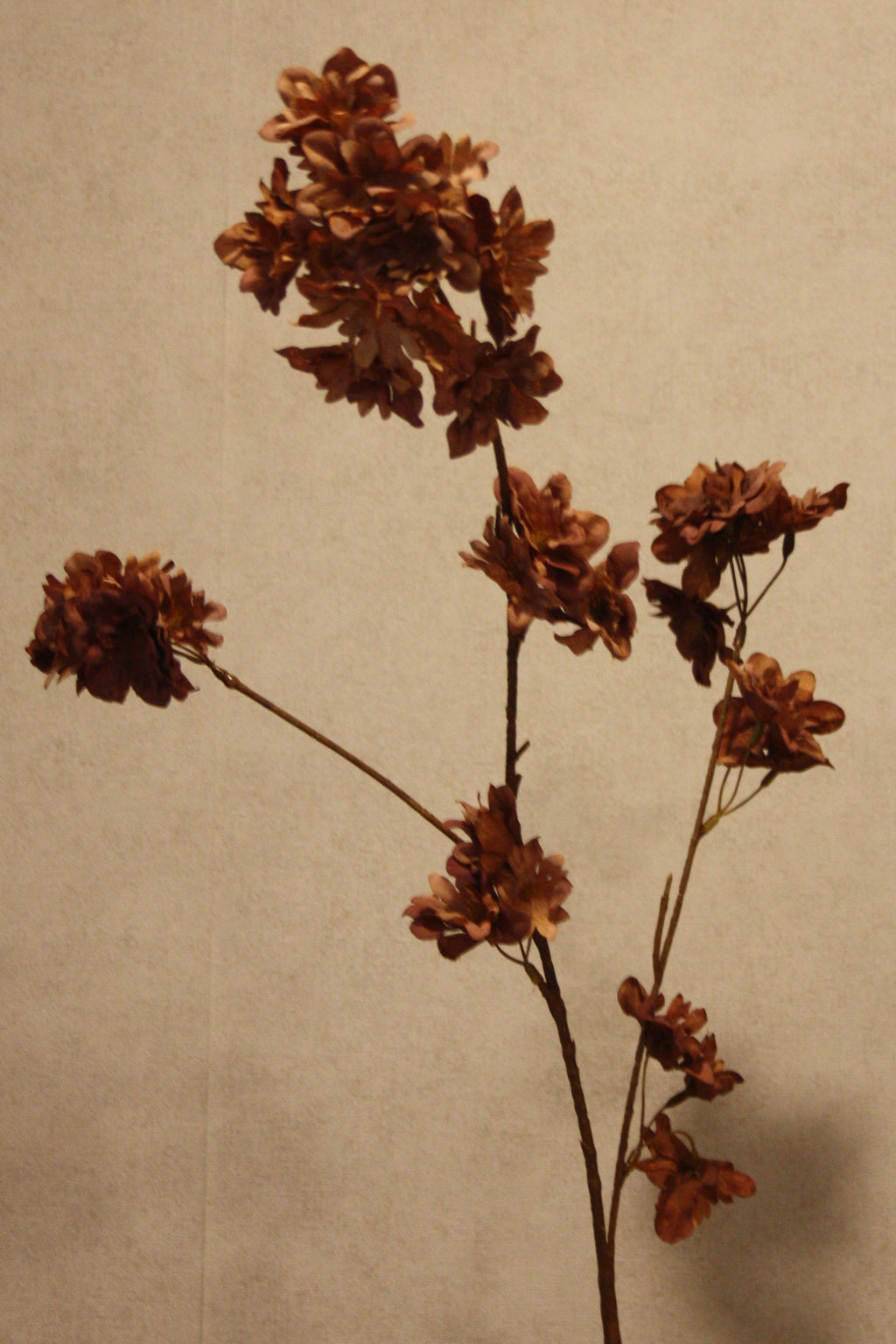Kersenbloesem bruin 86 cm