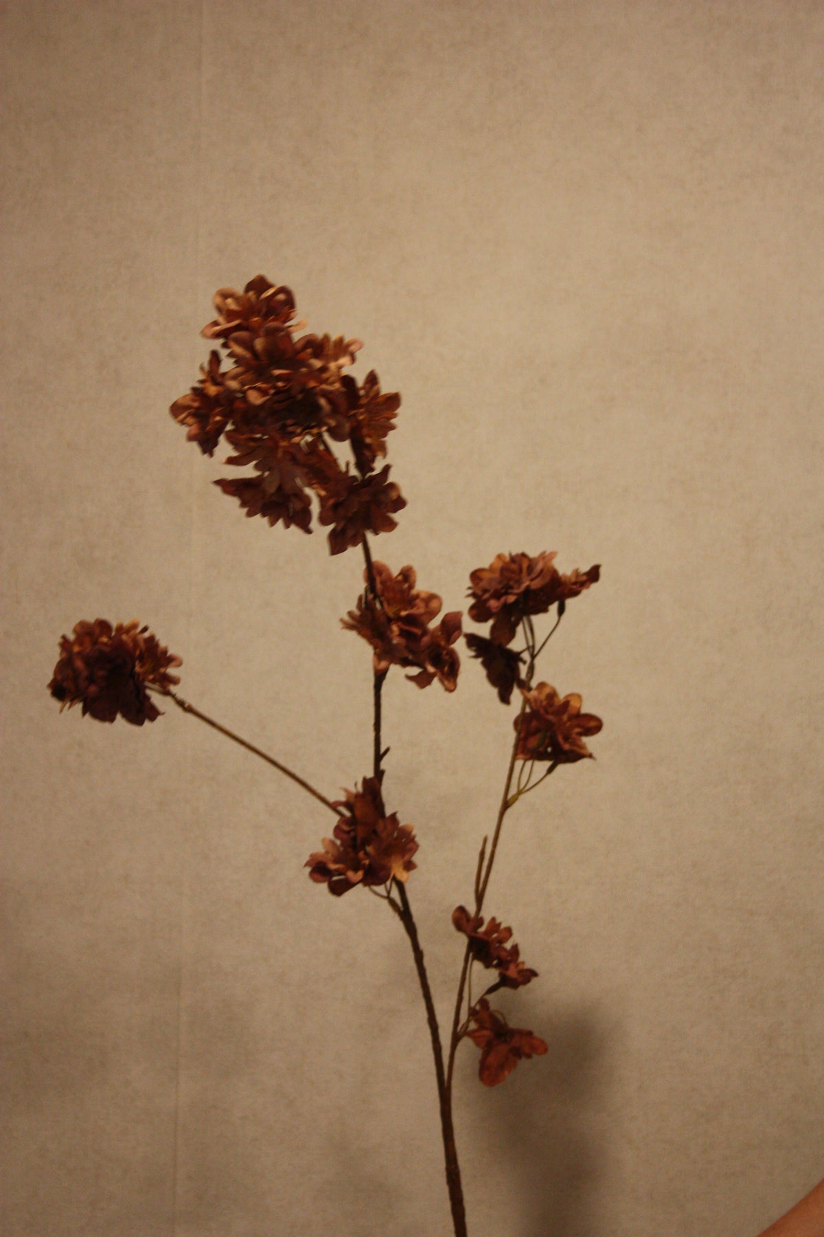 Kersenbloesem bruin 86 cm