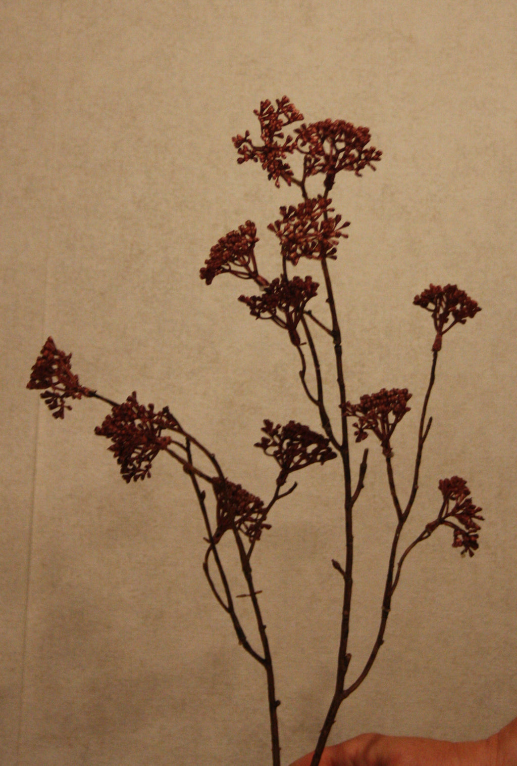 Kunsttak Burgundy 78 cm