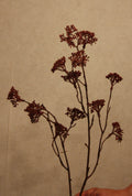 Kunsttak Burgundy 78 cm