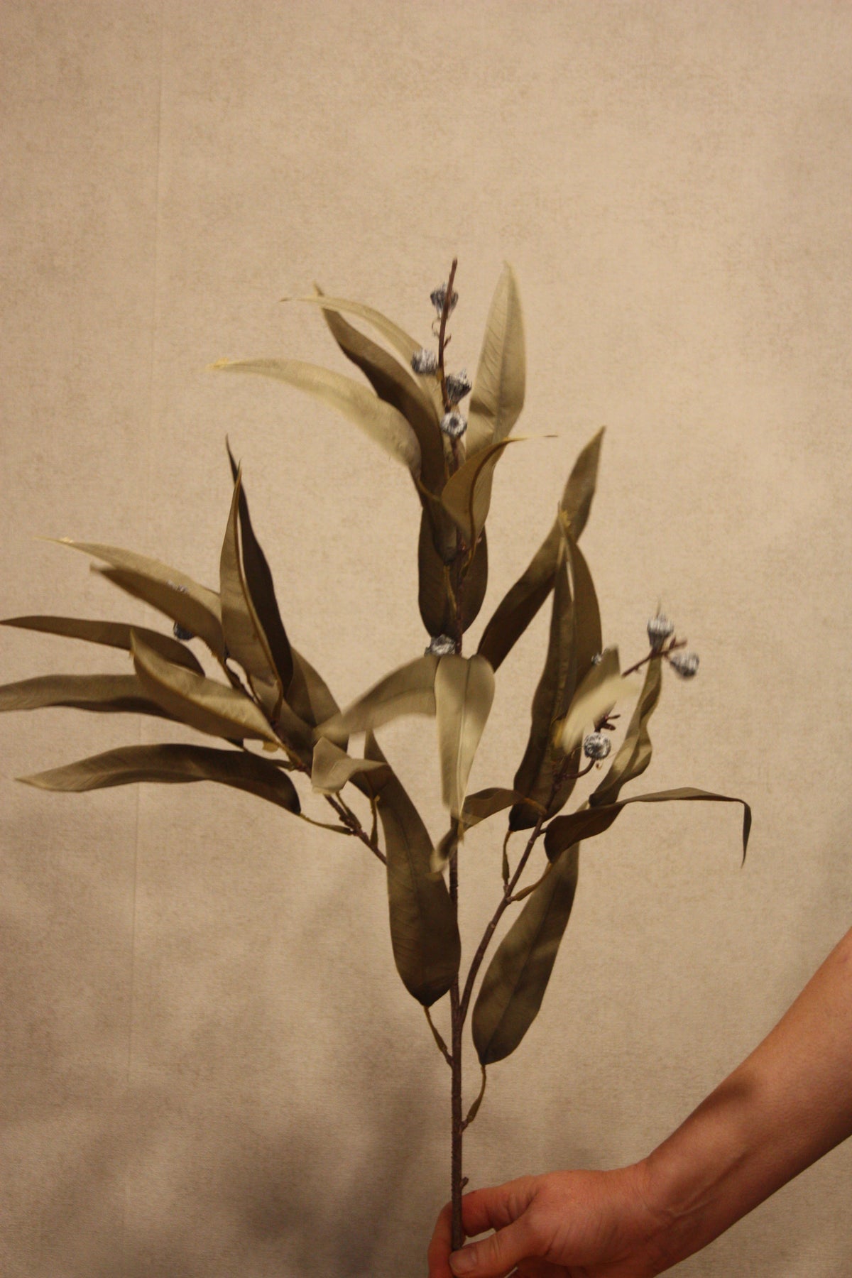 Eucalyptus groen 103 cm
