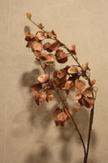 Kunst bloesemtak Koelreuteria 122 cm taupe