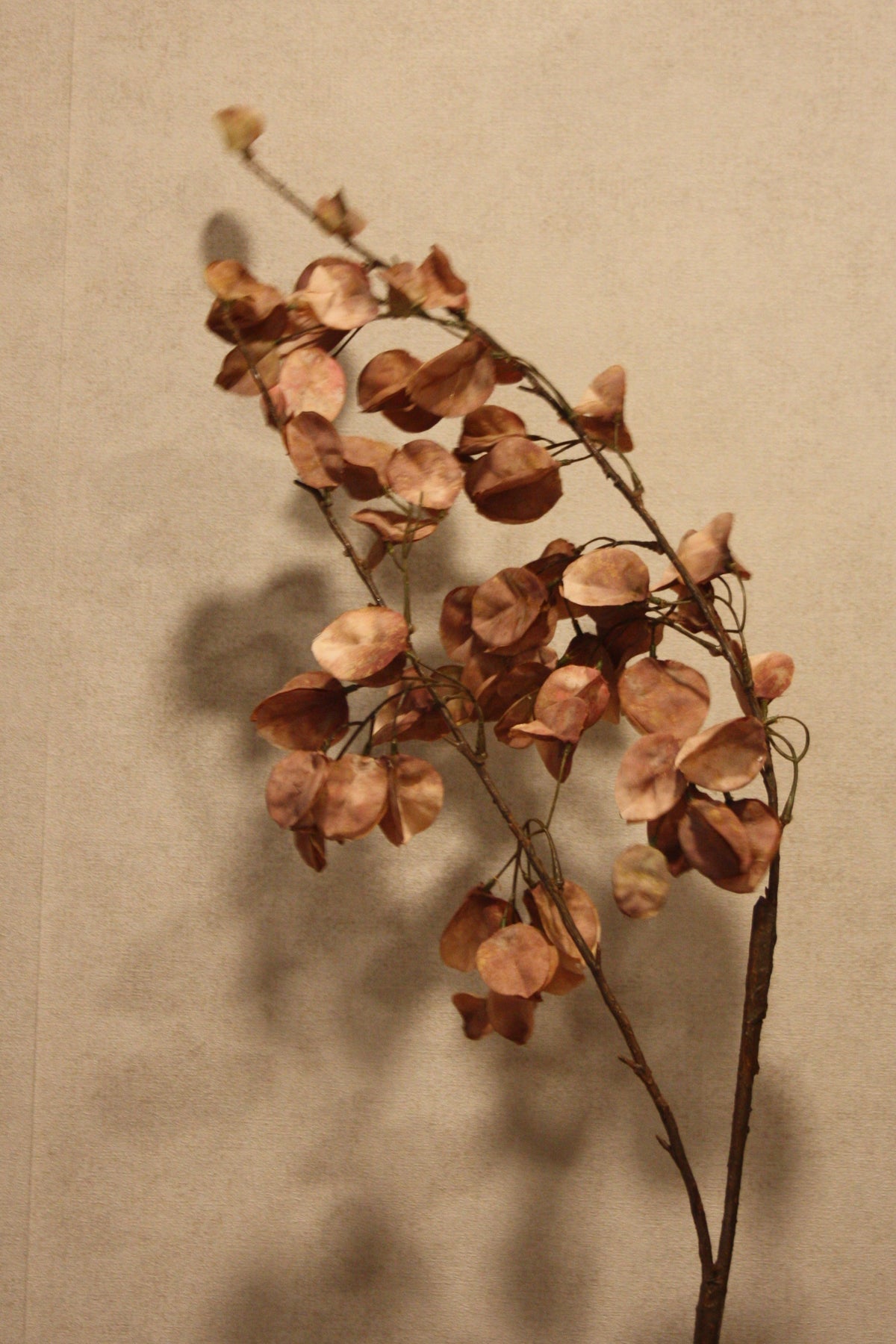Kunst bloesemtak Koelreuteria 122 cm taupe