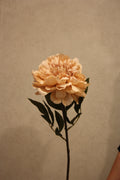 Pioen beige 72 cm