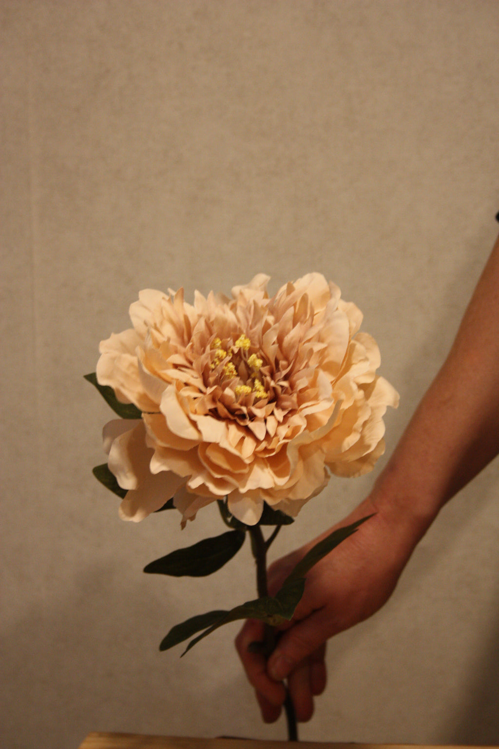 Pioen beige 72 cm