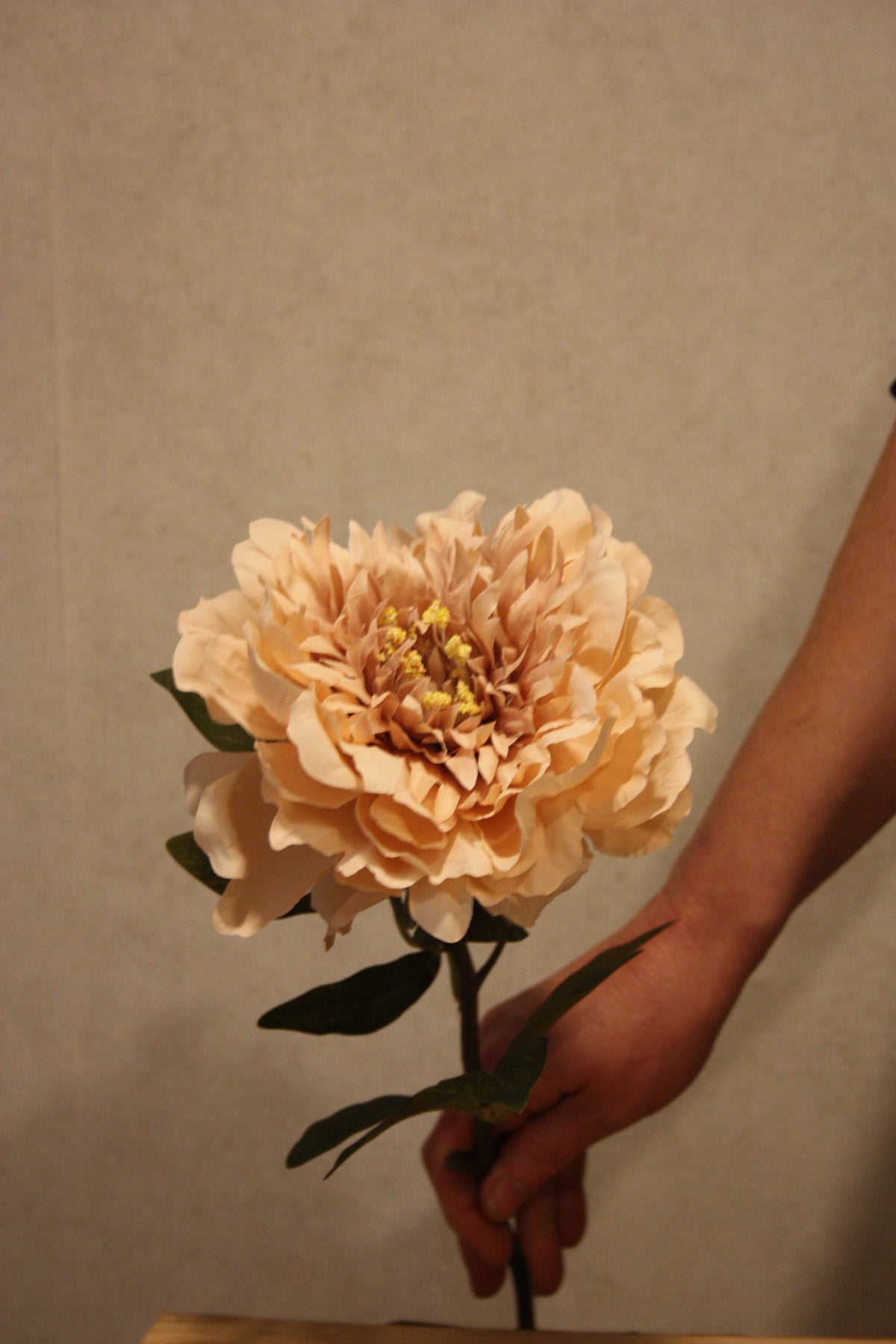 Pioen beige 72 cm