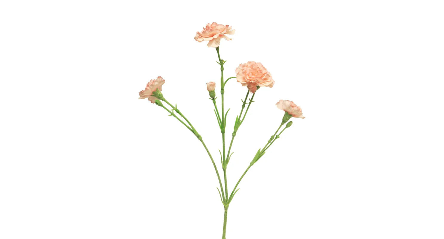 Zijden bloem Dianthus pink 62 cm