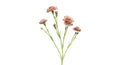Zijden bloem Dianthus lavendel 62 cm