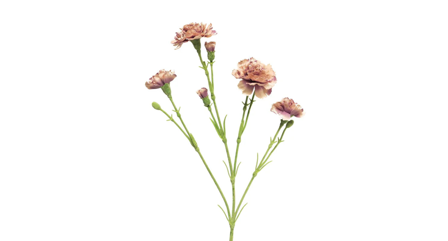 Zijden bloem Dianthus lavendel 62 cm