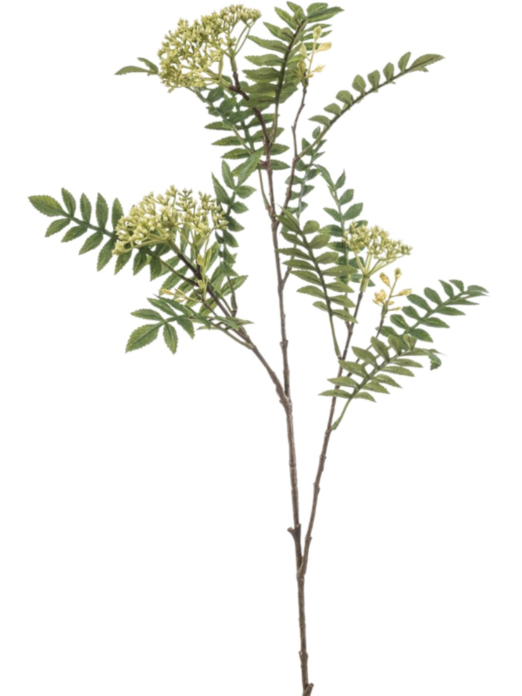 Zijden Bloem Sorbus spray green 80cm