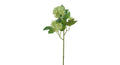 Zijden bloem Viburnum lichtgroen 45 cm